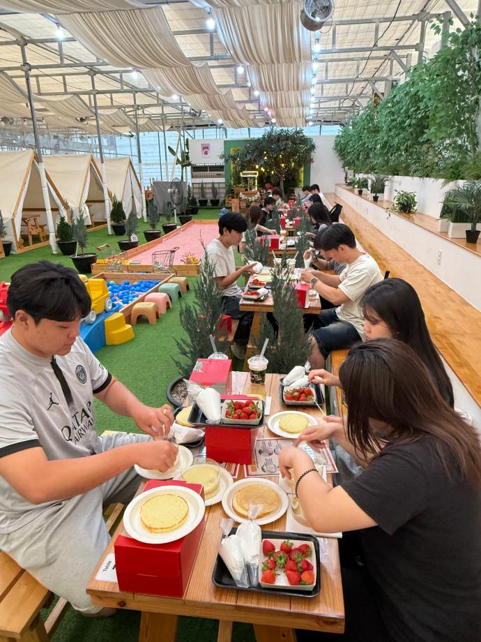 포천 딸기힐링팜 현장체험학습 5