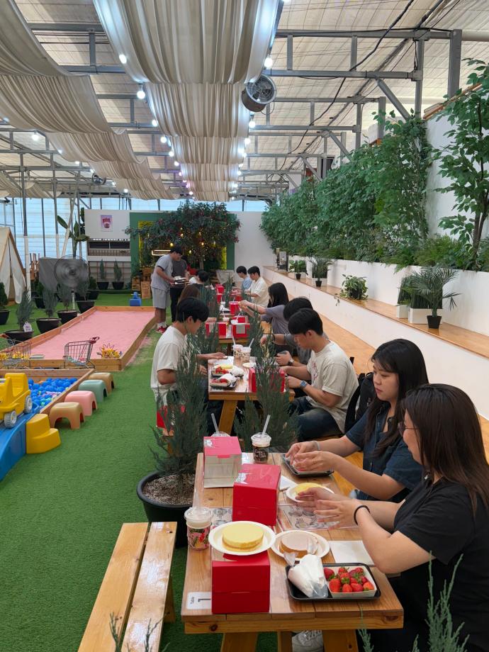 포천 딸기힐링팜 현장체험학습 7